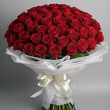 Букет 101 Красная роза Блэк Мэджик в Дондуковской