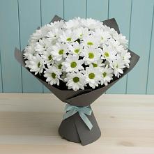 Букет цветов из:  Хризантемы в Дондуковской