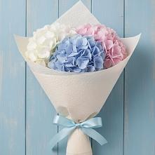 Букет цветов из:  Гортензия в Дондуковской