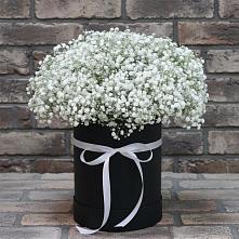 Цветочная композиция из Гипсофила в шляпной коробке #REPLACE_PRED# Дондуковской