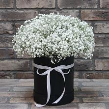 Цветочная композиция из Гипсофила в шляпной коробке в Дондуковской