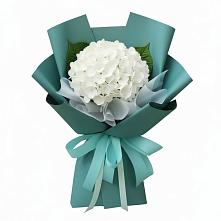 Букет цветов из:  Гортензия в Дондуковской